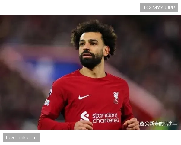 萨拉赫内切依赖度与战术多样性解析